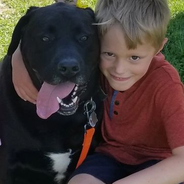 Black Labrador dog and boy