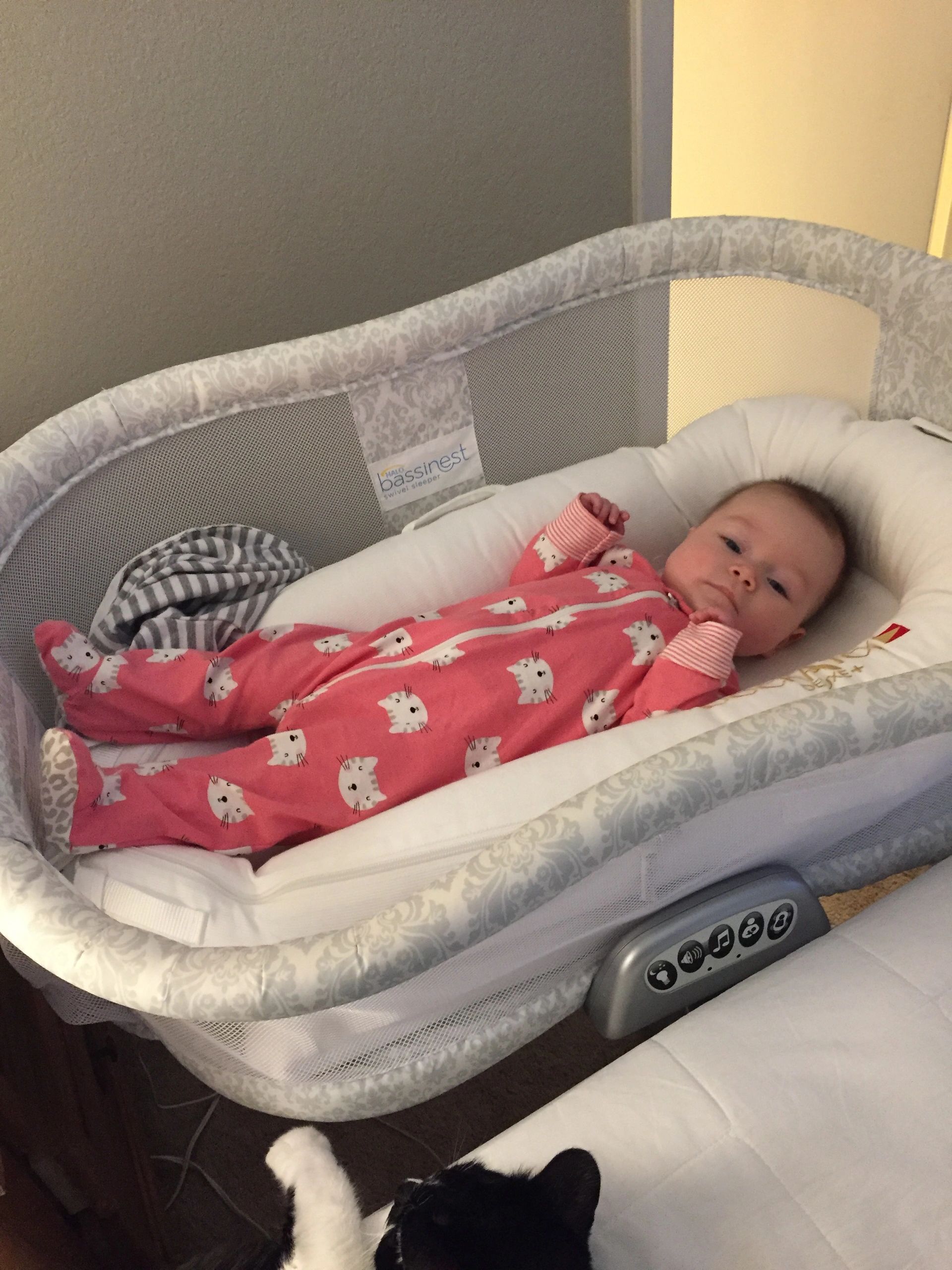 Bassinet that 2024 fits dockatot