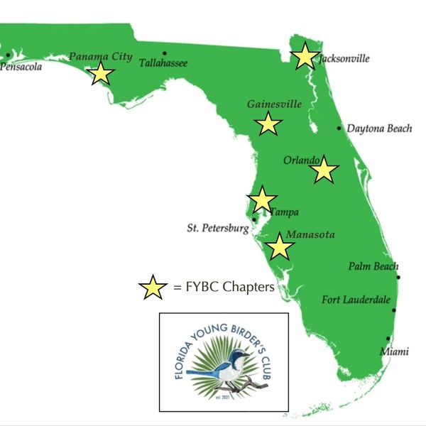 Map of Florida showing FYBC chapters in six cities marked with yellow stars.
