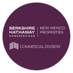 Commercial Real Estate NM
