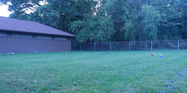 Dog exercise yard at K9 Care Camp