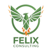 Felix Consulting