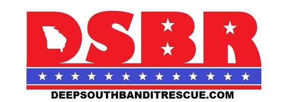 Deep South Bandit Rescue