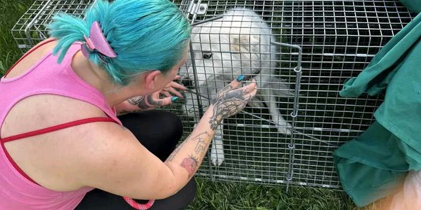 It's a big win for us to reunite you with your fur babies 💞🐕‍🦺