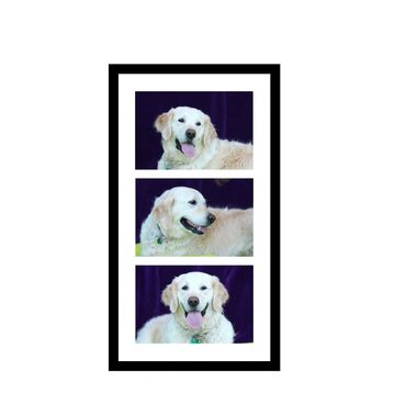 LUNA - 3 horizontal images in vertical frame, purple background