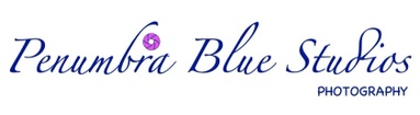 Penumbra Blue Studios Photography 