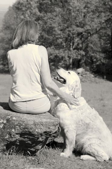 LUNA & HANDLER. smiling Golden Retriever, handler seated on rock in field, hand gently on dog's neck