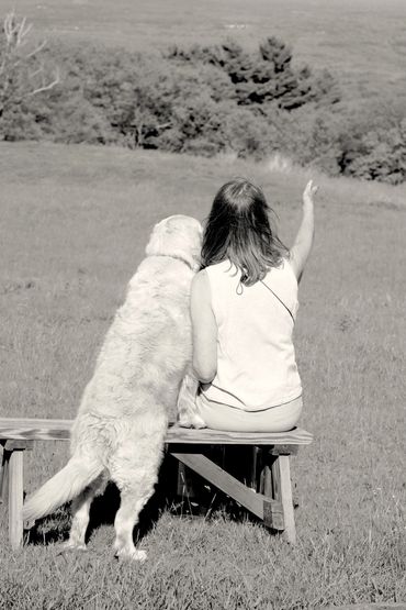 LUNA & HER HANDLER. Golden Retriever therapy dog seen from back. Handler is sitting on bench in a fi