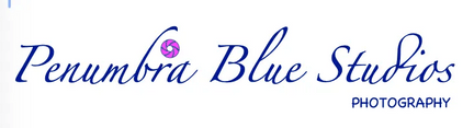 Penumbra Blue Studios Photography 