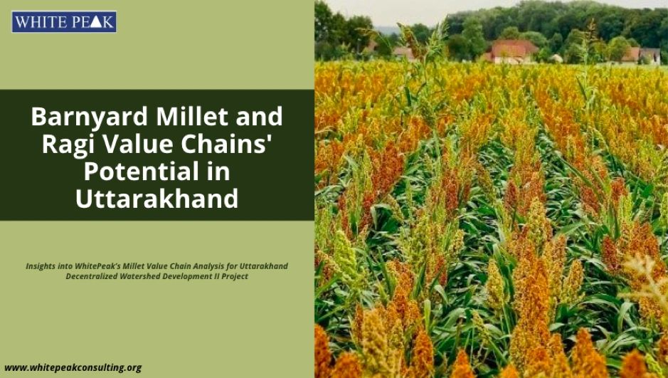 Barnyard Millet & Ragi Potential in Uttarakhand, India