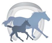Burke Farrier Services LLC