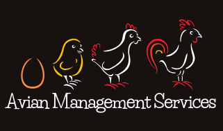 Avian Management Services