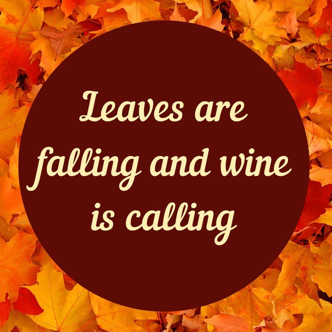 Winery, Wine, Wine Tasting BackRoad Vines Fairfield, California