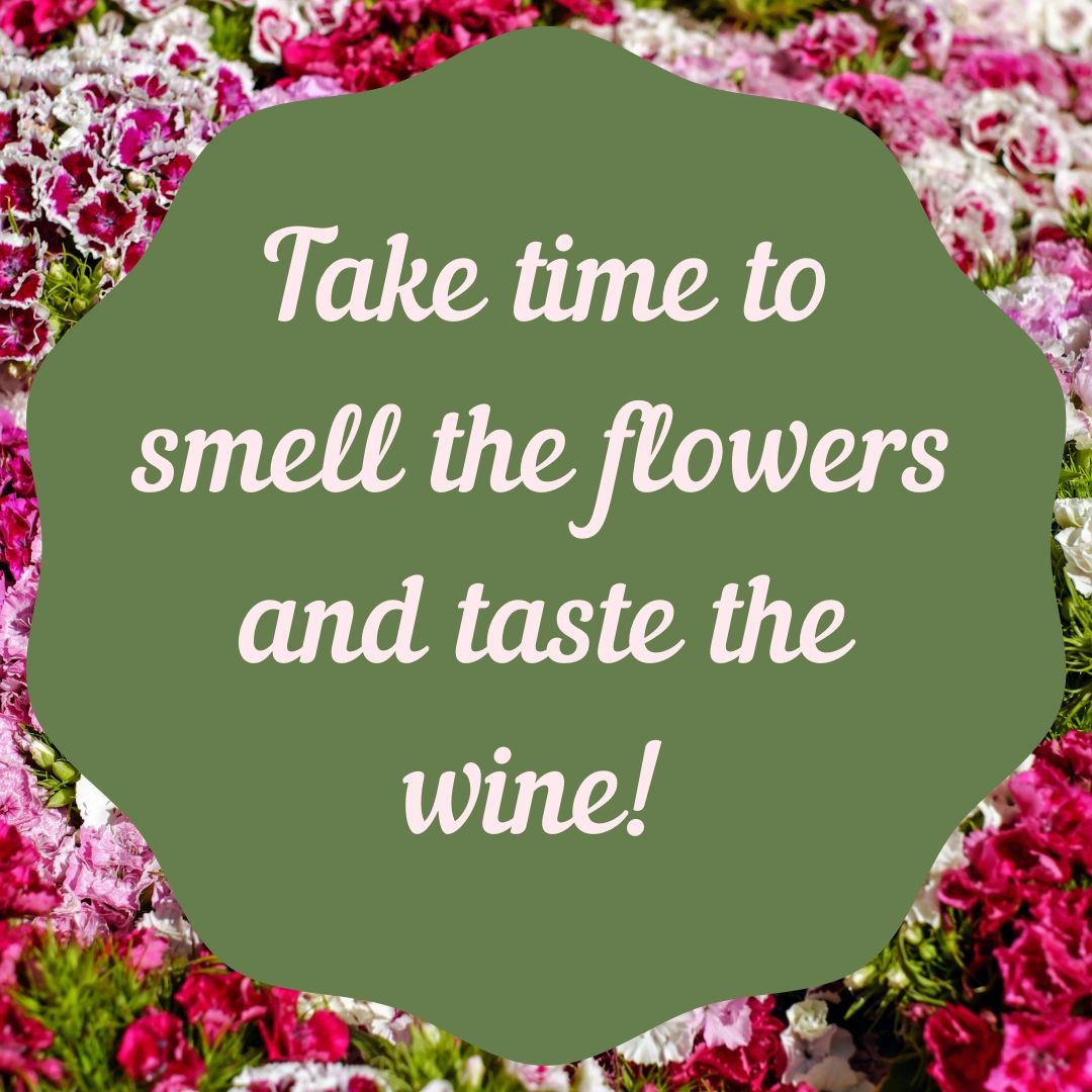 Winery, Wine, Wine Tasting BackRoad Vines Fairfield, California