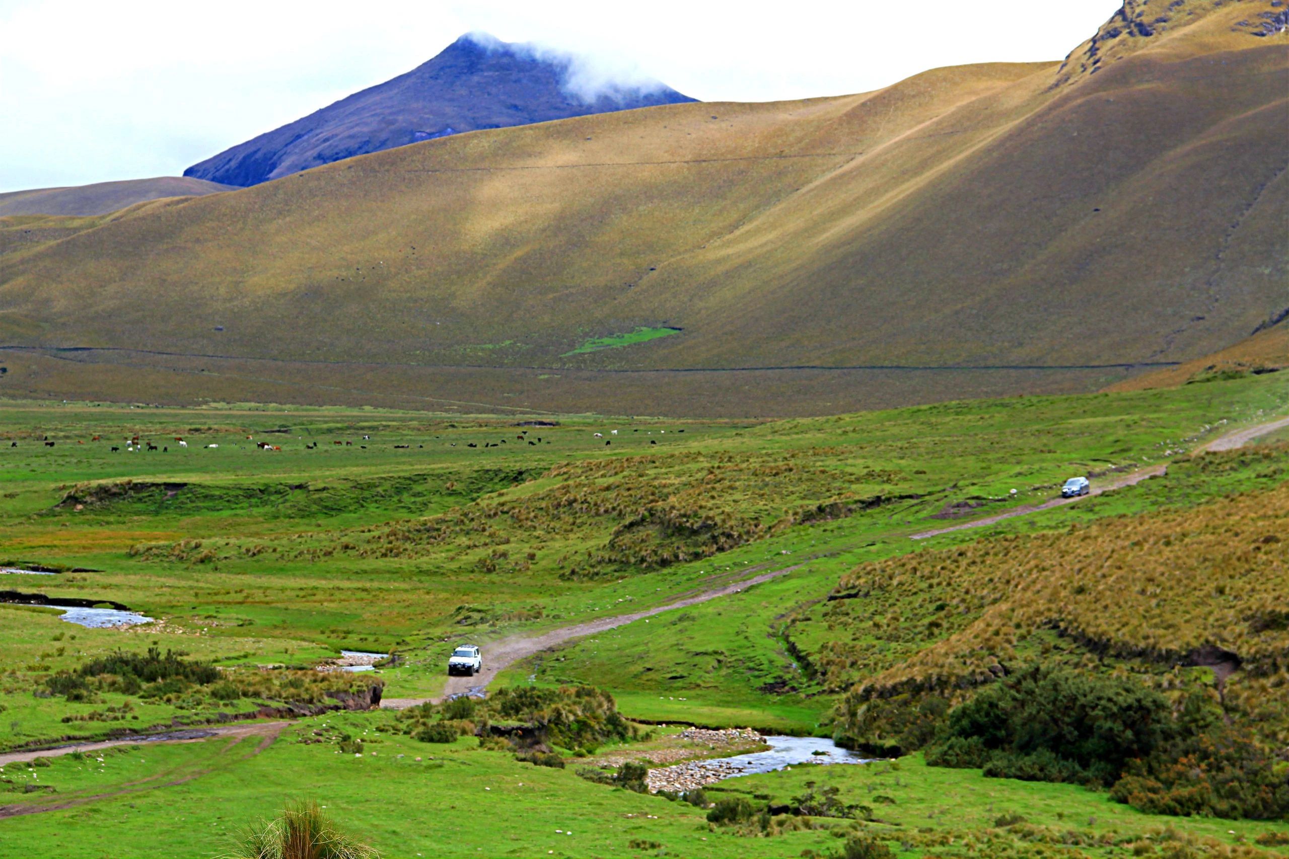 Landscape of the Andes 