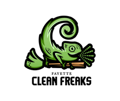 fayettecleanfreaks.com