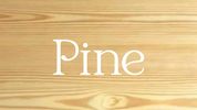 pine wood
