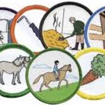 Achievement Badges - The Burton Hunt Branch of The Pony Club - Lincoln - Lincolnshire