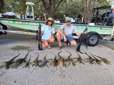 The Hunting Company - Iguana hunting in South Florida with blow dart guns!  We got lots of nice green iguanas, some very rare Mexican rock iguanas, and  a limit of peacock bass!