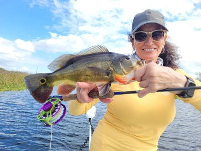 Justin Nguyen - Florida Peacock Bass Fishing Guide