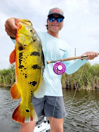 How to Fish for Peacock Bass in Florida