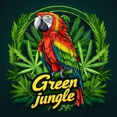 Green Jungle Thailand