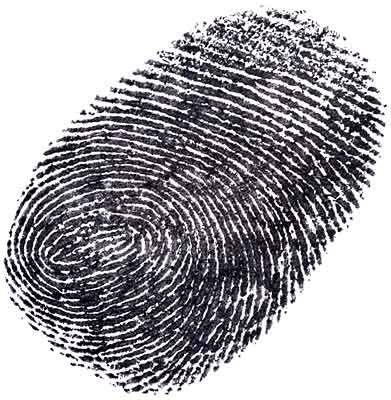 fingerprint background check