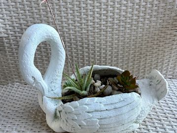 White swan-shaped planter with succulents on woven background.