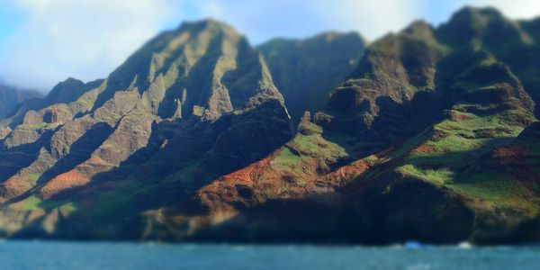 Steve Pazol CEO Coaching Pangero