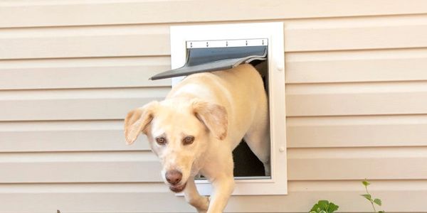 How the Invisible Fence® Brand's Doorman™ Pet Door Works 