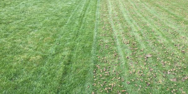 Left not aerated, Right aerated after 1 pass.