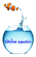 Tideline Aquatics