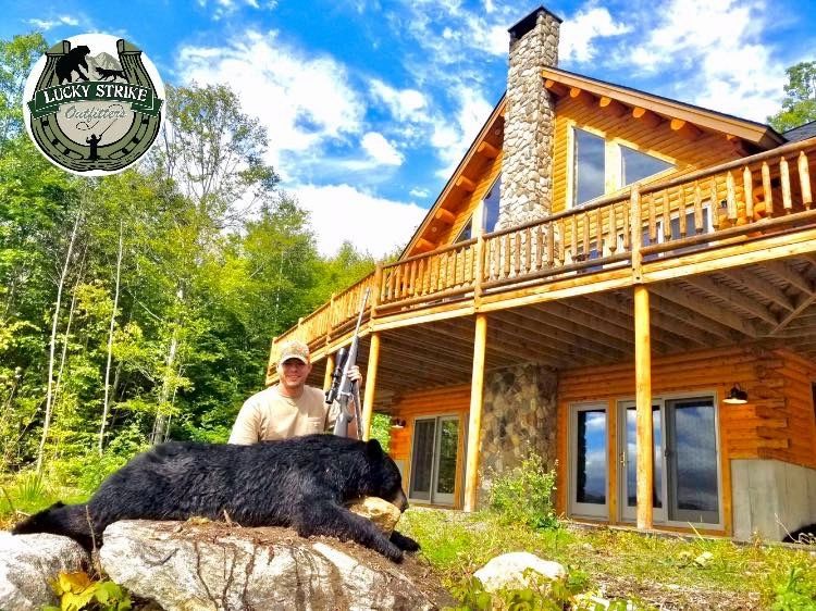 bear hunting trips in maine