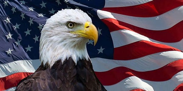 Patriot, veterans, military, 
