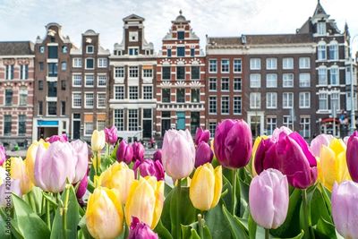 Amsterdam apartment viewed across a canal with colorful tulips in the foreground.