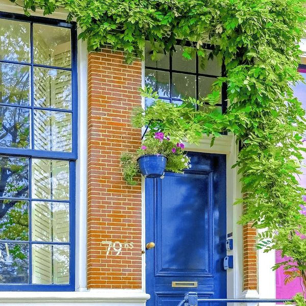 Clean windows and blue front door with spring leaves and flowers in front of Amsterdam apartment.