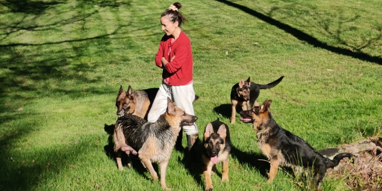 Happy, Healthy Bloodline  All our dogs are provided with the highest quality of care