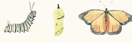 Eight Ways Small Employers Can Compete for Top Talent