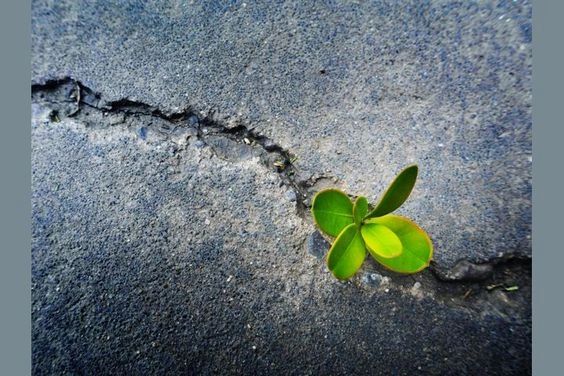 Resiliency Planning for Small Business