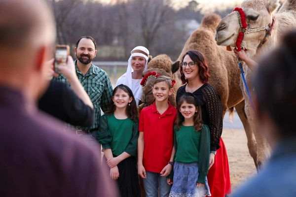 A group poses happily with two camels as a photo is taken outdoors.