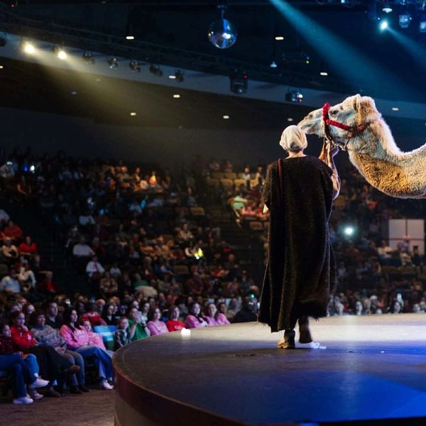 A person with a camel performing on stage in front of a large audience.