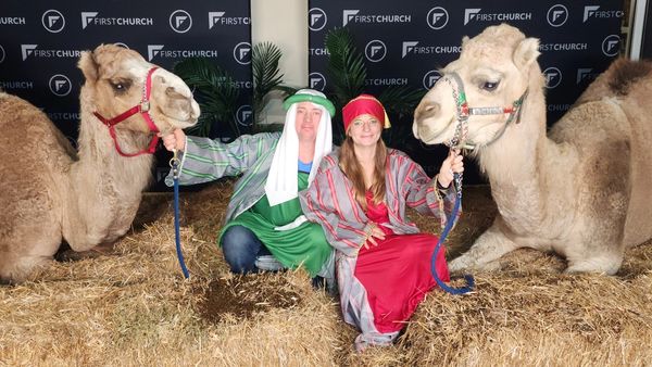 camel photo session