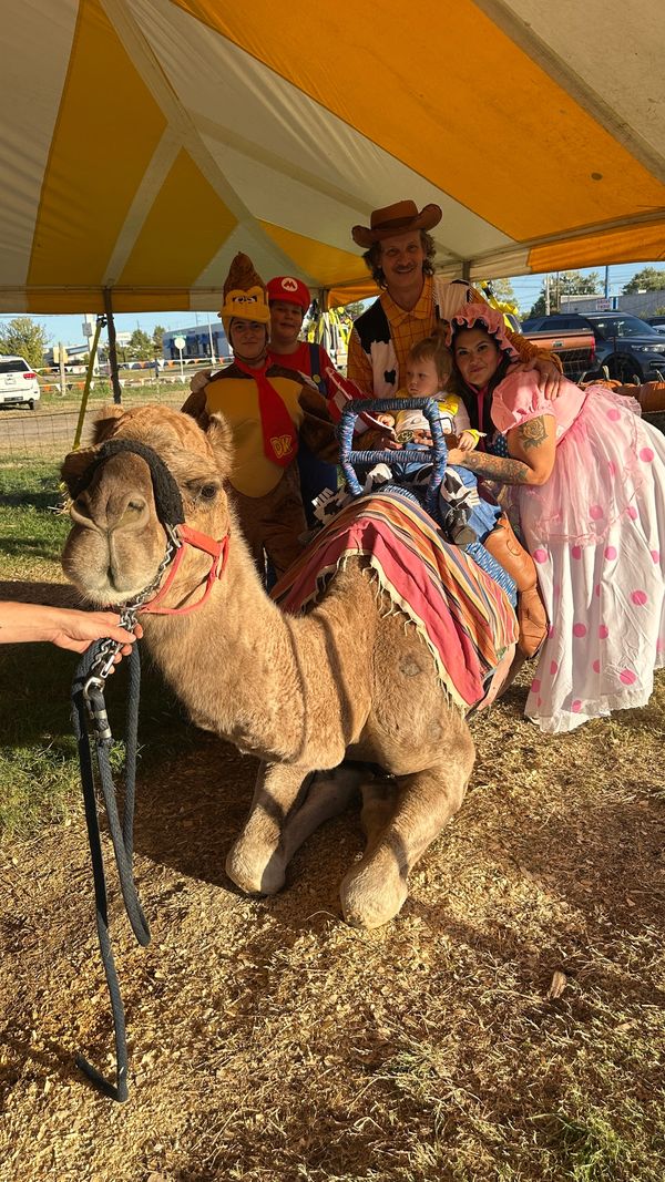 Toy Story themed family pictures with the camel at the pumpkin patch