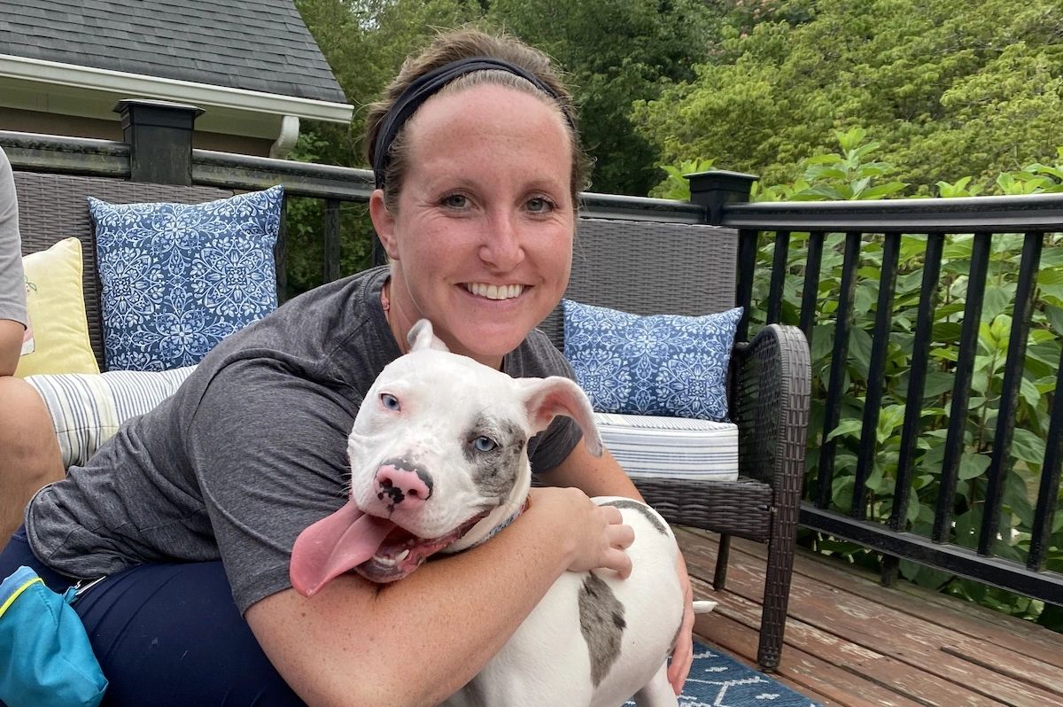 Private dog training benefits