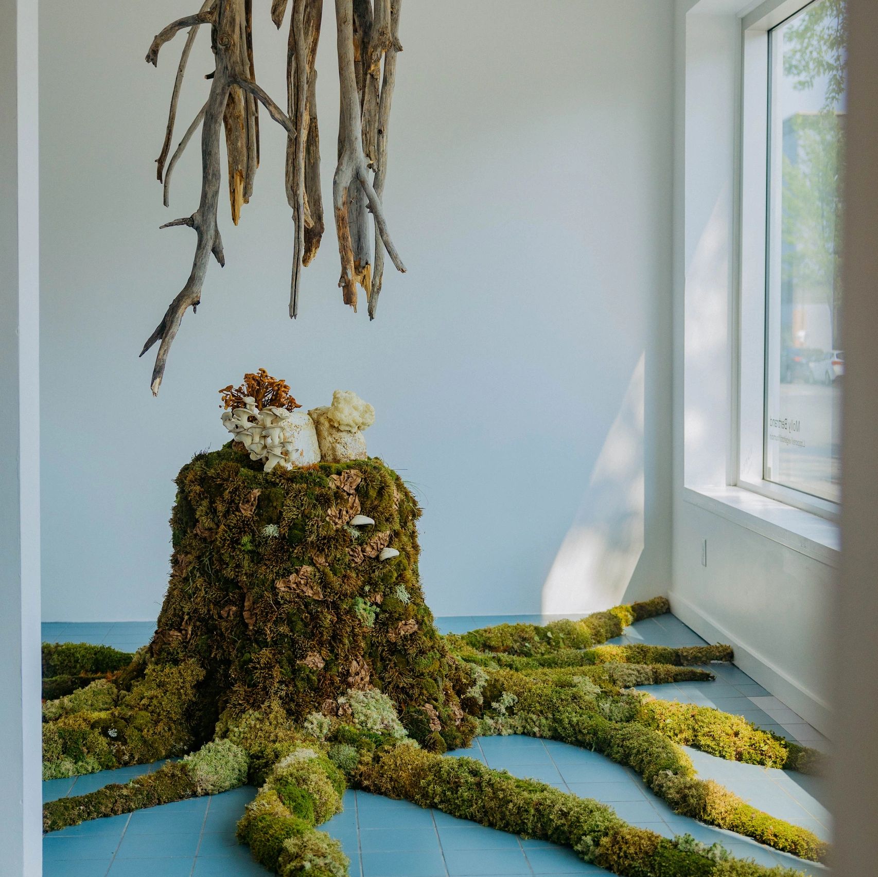 Art installation with moss, mushrooms, and hanging driftwood in a bright room.