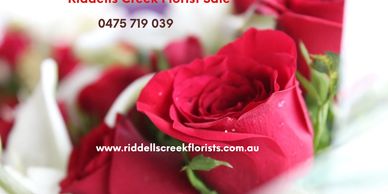 Send some roses, red roses, pink roses, white roses