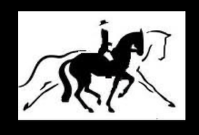 Kimberly monk Classical dressage Clinics