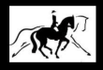 Kimberly monk dressage