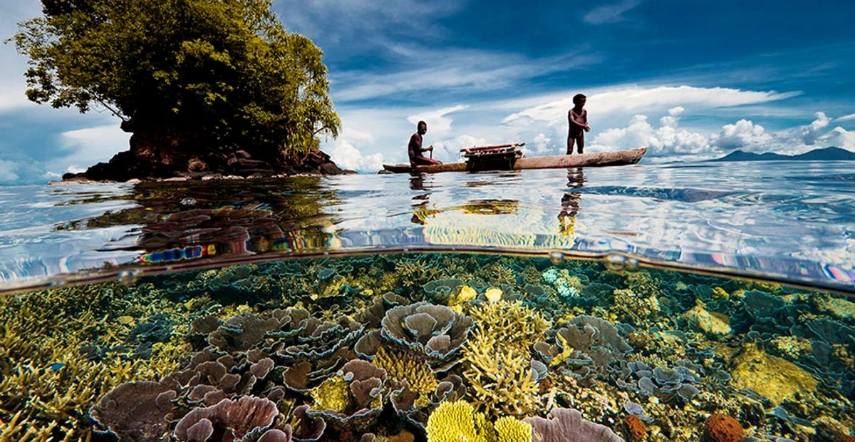 Papua New Guinea Diving