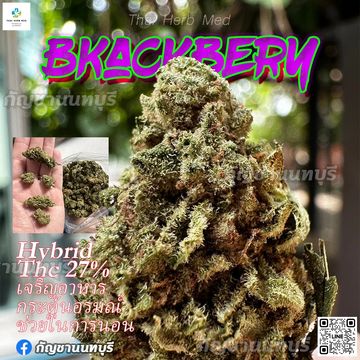 Blackberry